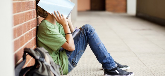 5 Signos para detectar el Bullying o Cyberbullying. Cuando los compañeros se vuelven enemigos. 